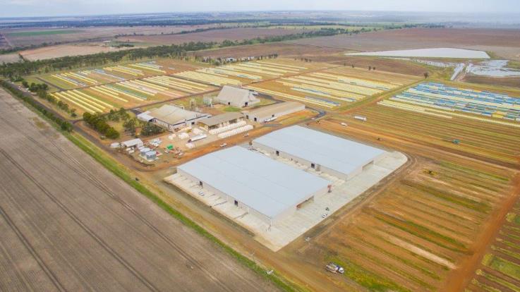 Queensland Cotton Dalby Gin Storage Sheds-Metroll