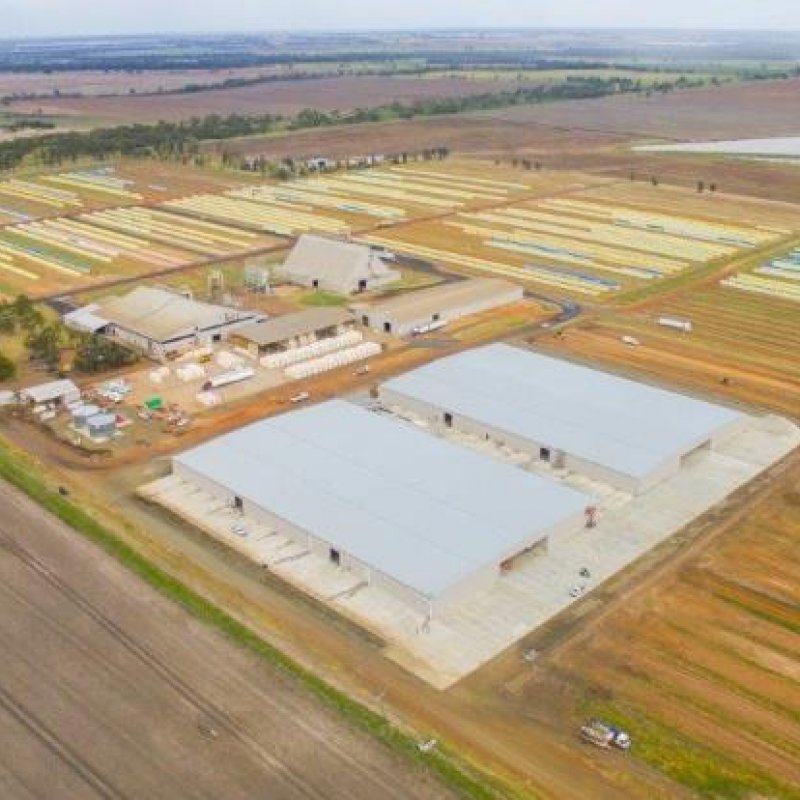 Queensland Cotton Dalby Gin Storage Sheds-Metroll